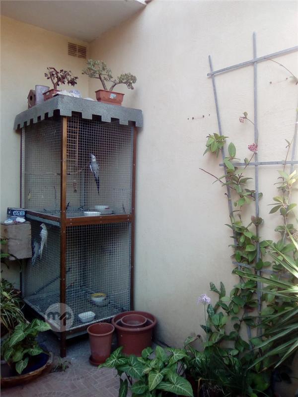 Large bird cage Maltapark