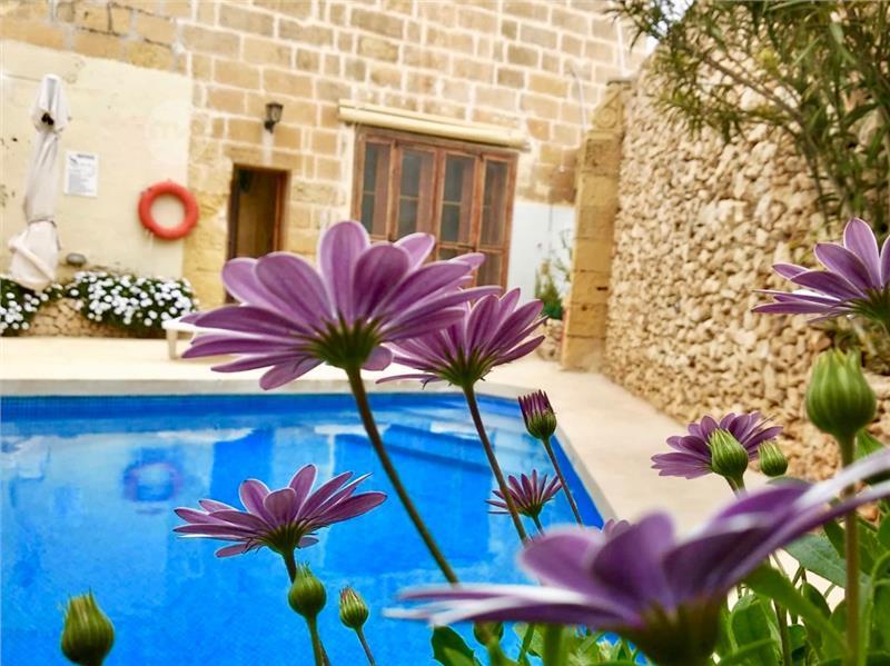 Holiday Farmhouse in Gozo - short let | Maltapark
