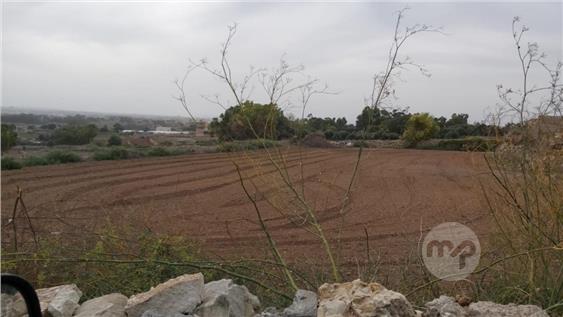 Land / ghalqa
