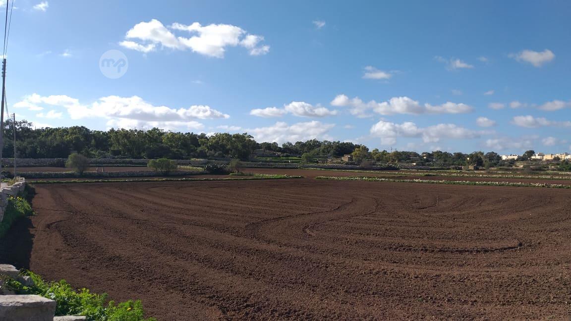 Santa Lucia Farmhouse with Land Maltapark