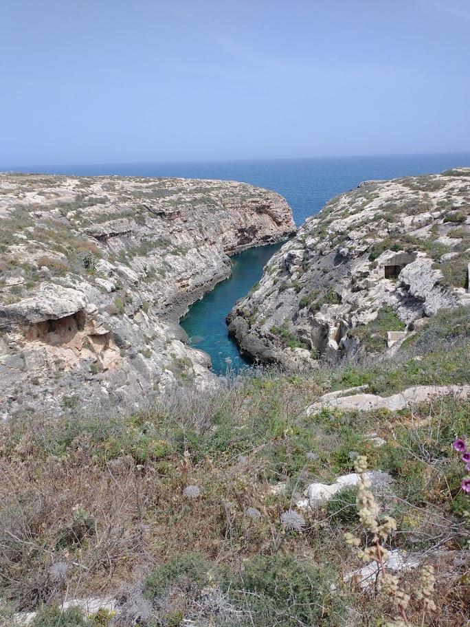 for sale Agricultural recreational /PLOT / land in nadur ,san lawrence