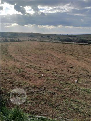 Field in Marsaskala, Marsascala