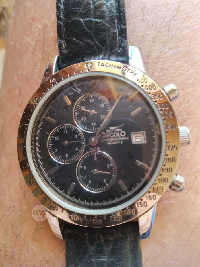 Regolo watch 2025