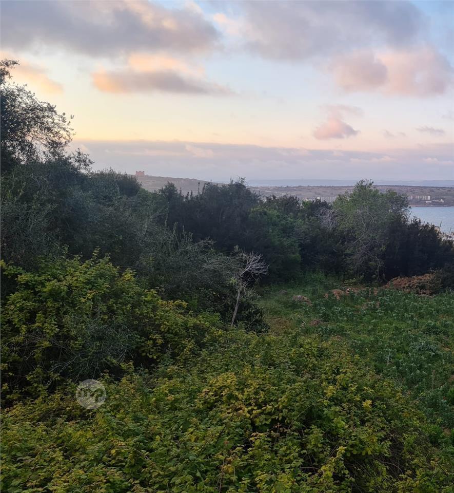 1 Tumoli of Recreational / Agricultural Land Maltapark