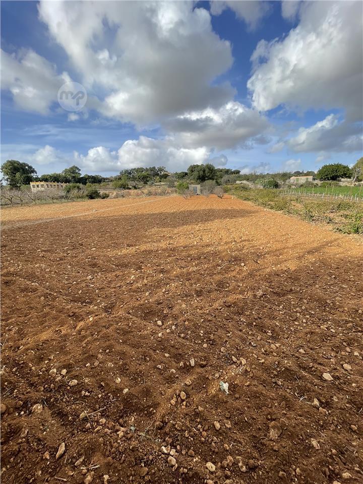Imtahleb Field / Ghalqa for sale by owner | Maltapark