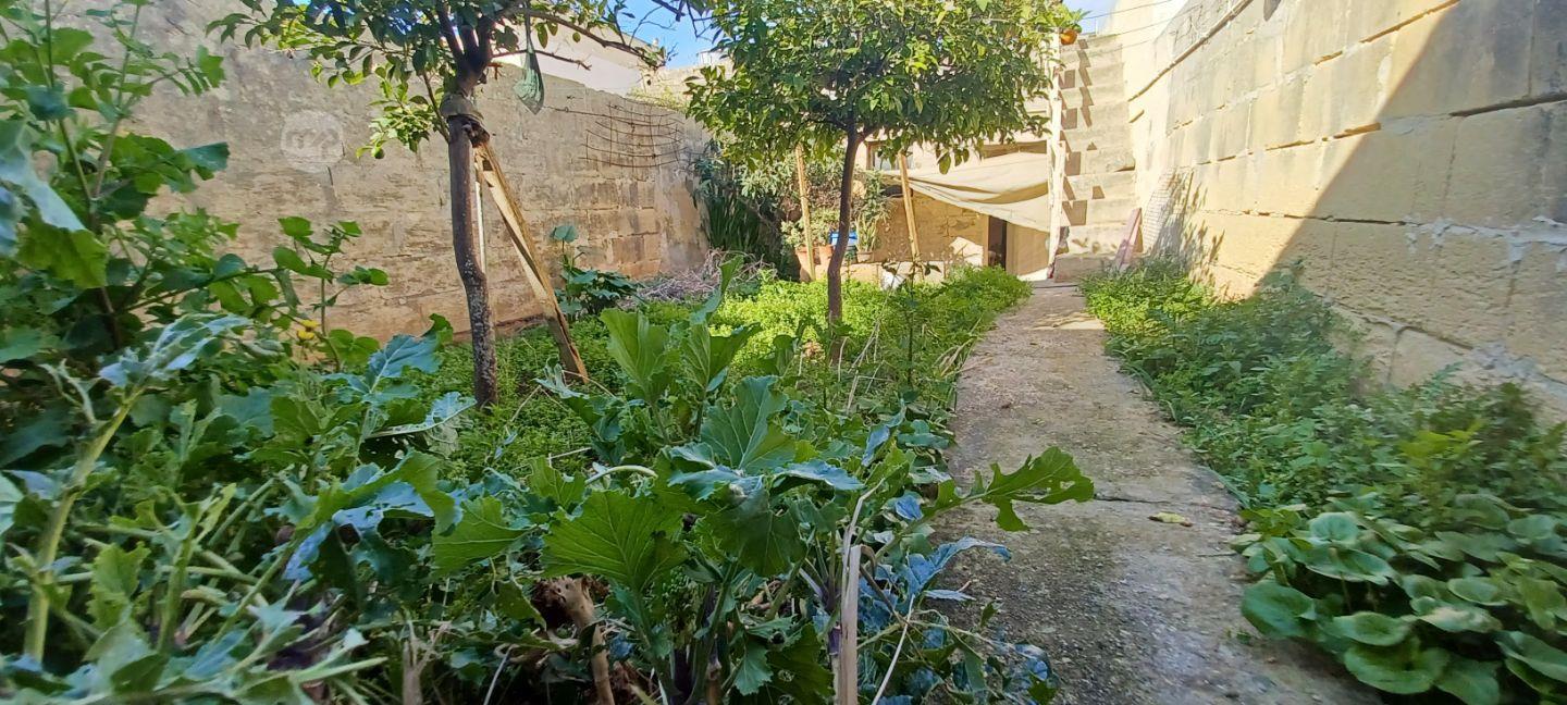 Zejtun Garden House With Garage Maltapark