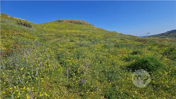 For Sale 2200 m² plot of Land for Agricultural / recreational use in Ghasri Gozo, Ghasri