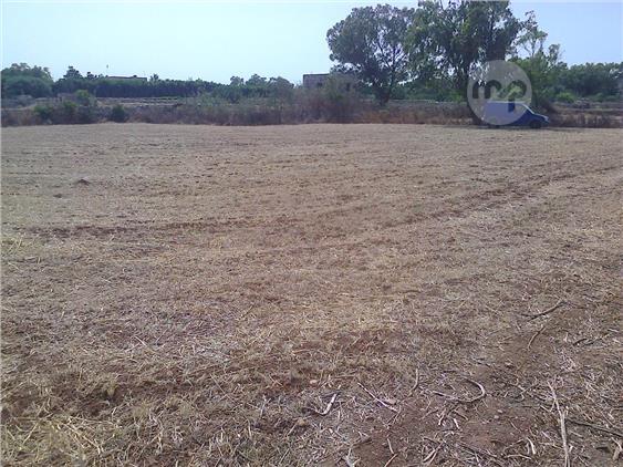 AGRICULTURAL LAND - ZEJTUN/MARSAXLOKK, Zejtun