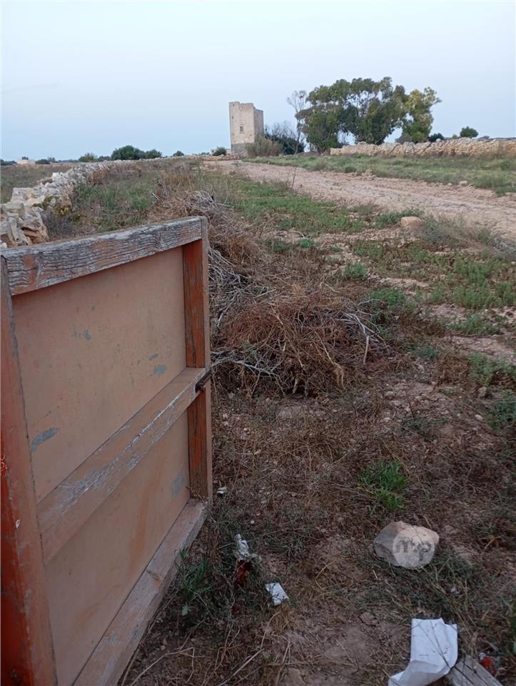 Ghalqa (field) Zurrieq | Maltapark
